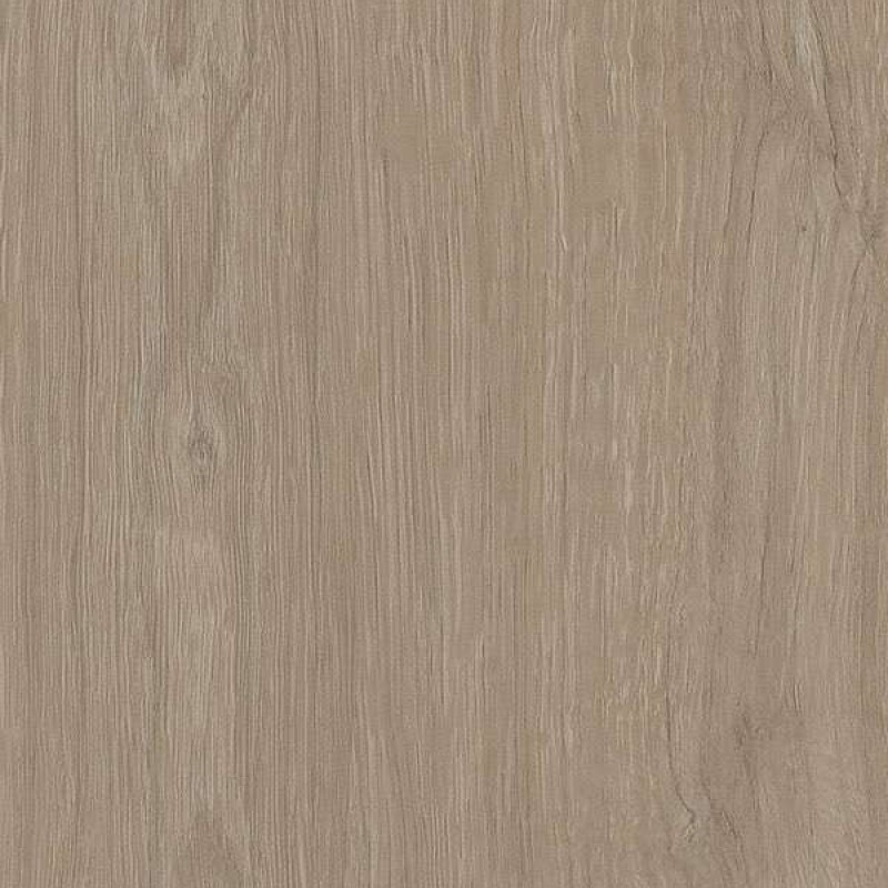 Abet Rovere Dolomite Cream 1970 root