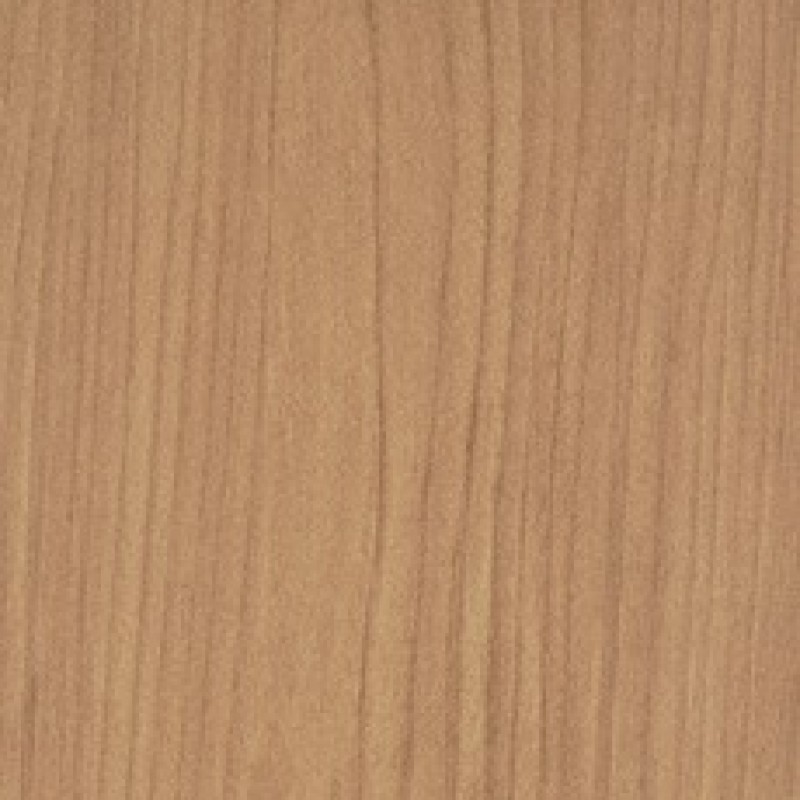 Abet Olmo Fine 370 root