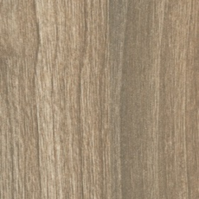 Abet Apple Tree 668 root
