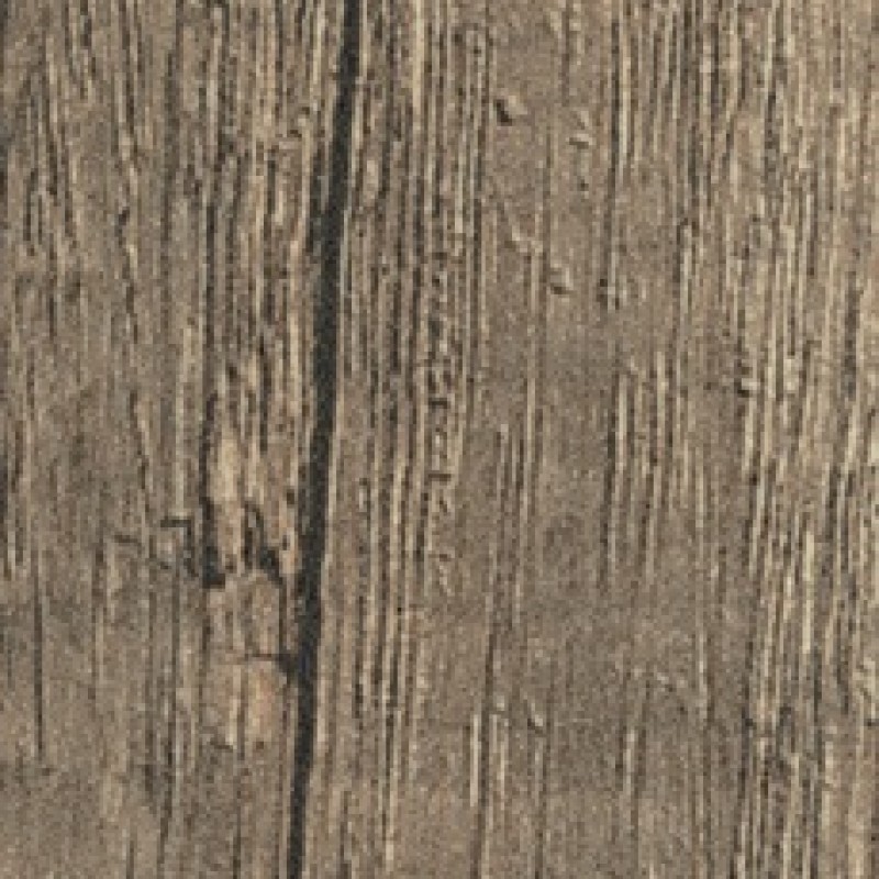 Abet Rovere Primitivo 669 root