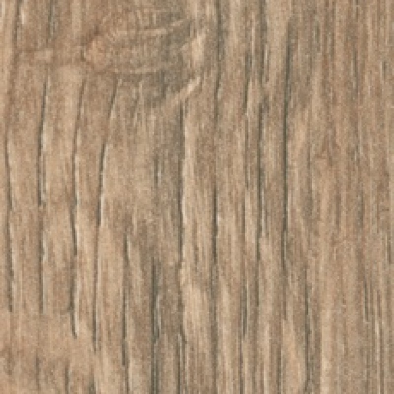 Abet Quercia Miele 673 root