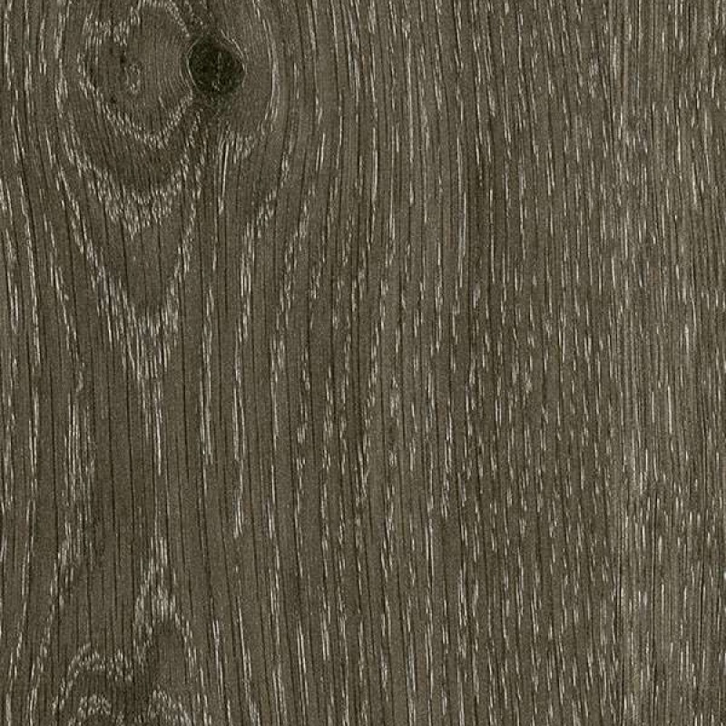 Abet Pino Varaita 679 Root 