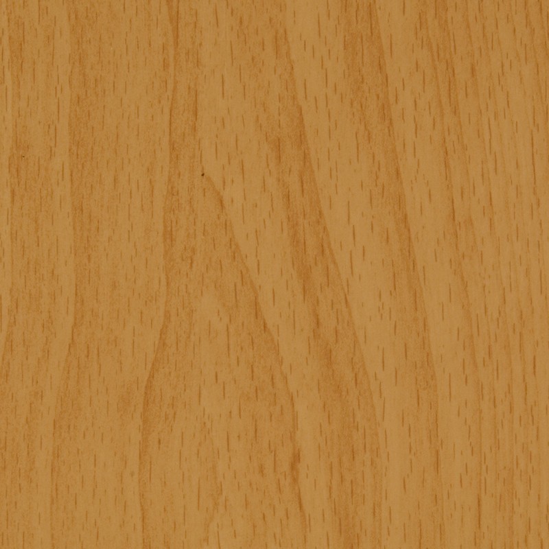 Arpa Faggio Gentile 4389 Erre