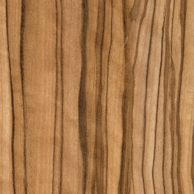 Arpa Ulivo Taggia 4479 erre