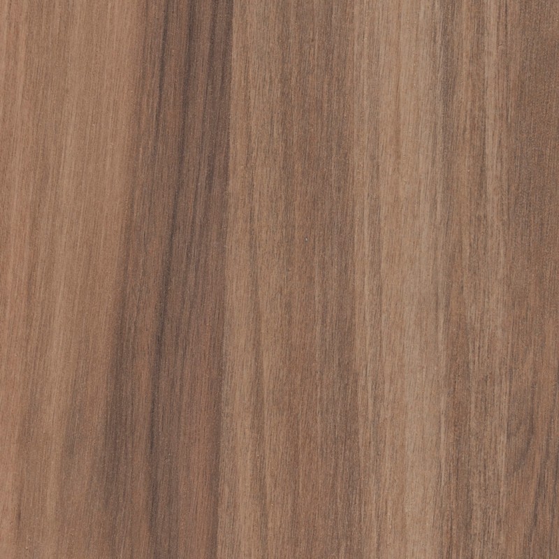 Arpa Noce Sinfonia 4625 Aleve
