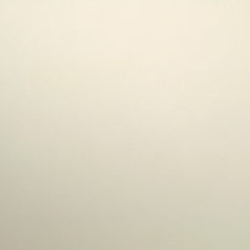 BAIDO BIANCO 100