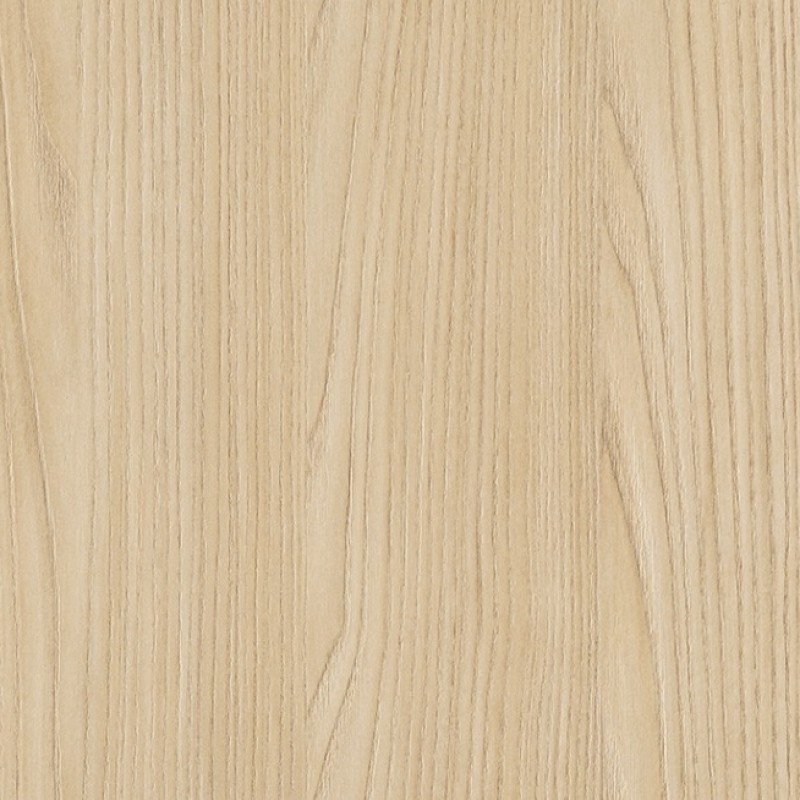 Cleaf Bardini S164 FRONDA