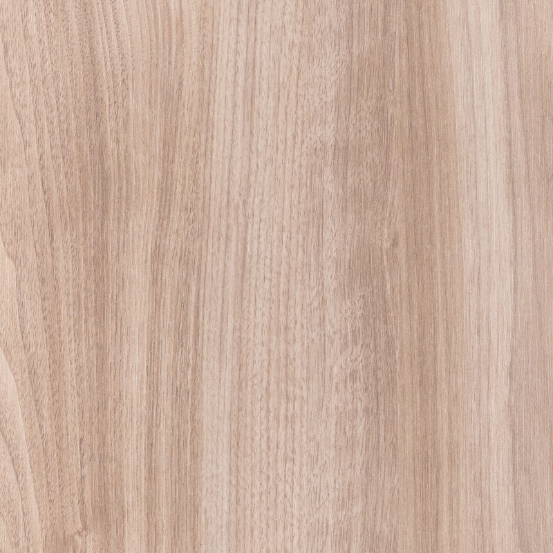 Diplos Aurora Argentina CH3009 Root 