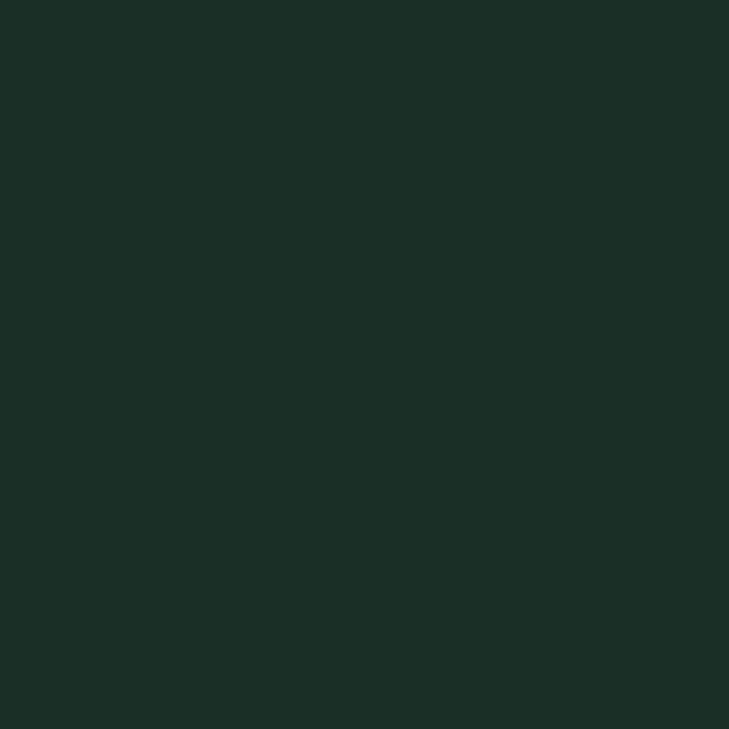 Egger Abete Verde U699 ST9