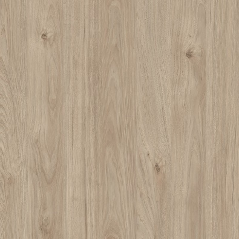 Falco Virginia Chestnut Y641 FS26