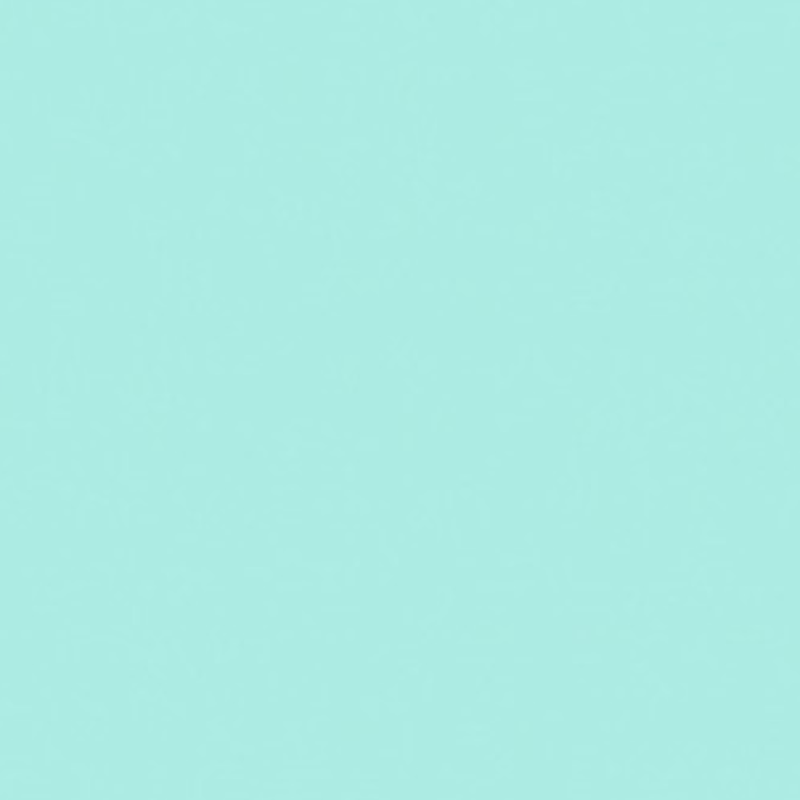 Kaindl Mint 27180 BS