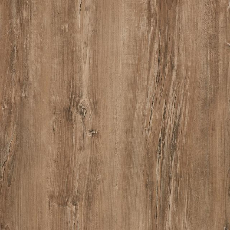 Kaindl Arizona Pine 34232 AT