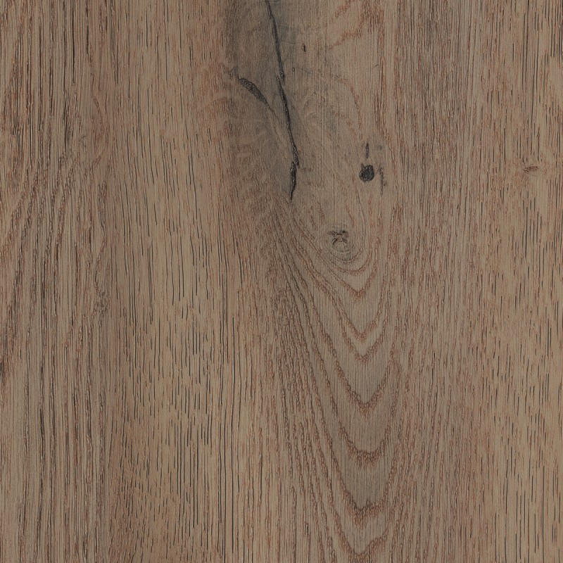 Kaindl Oak Cremona Tartufo K2773 OC