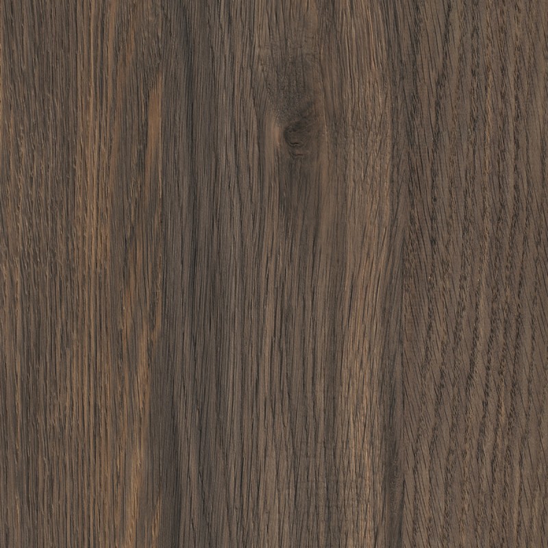 Kaindl Oak Pallidus  K2831 AN