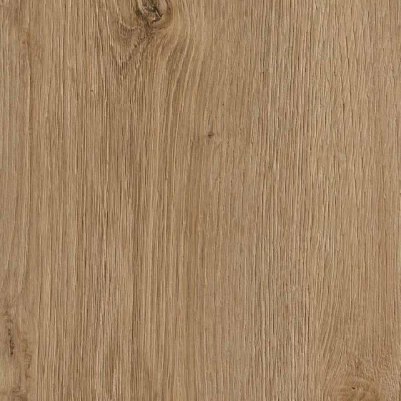 Kaindl Rovere Evoke Trend K4421 IR
