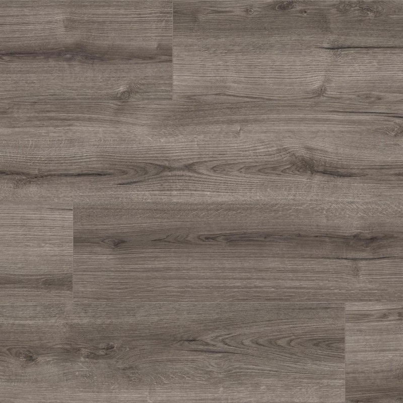 Kaindl Rovere Evoke Crack K4424 IR
