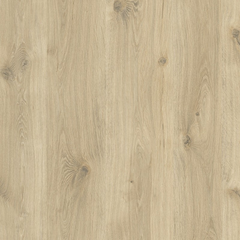 SwissKrono OAK NATURAL D4428 OW