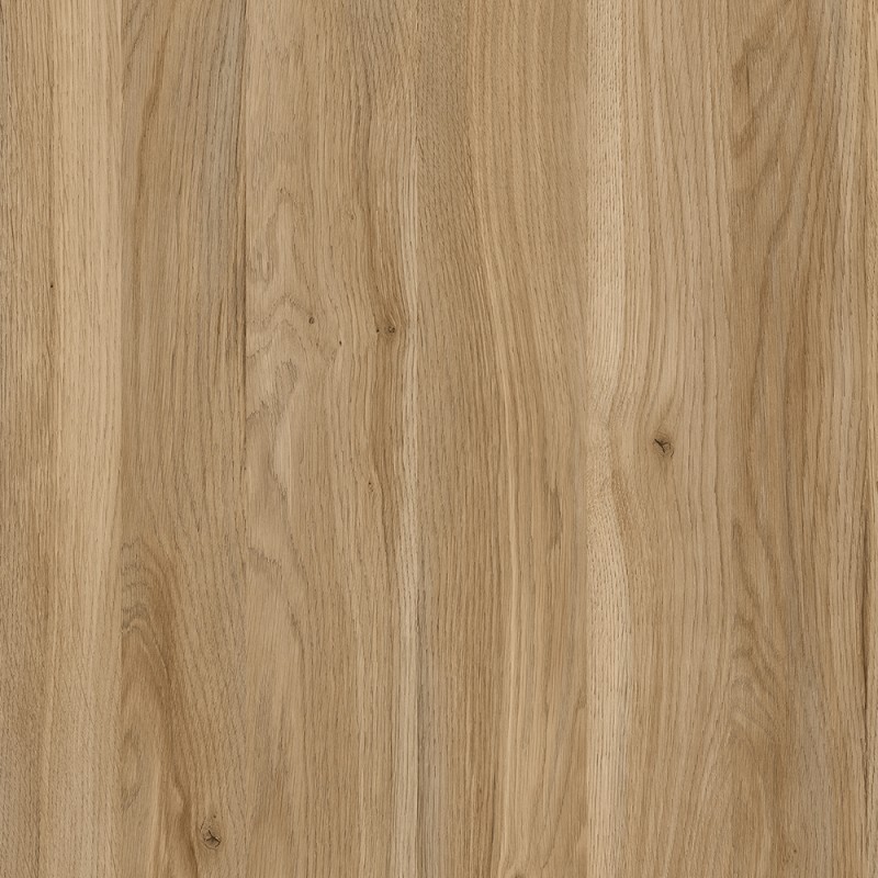 KASTAMONU A921 ROVERE GONZAGA  PS70