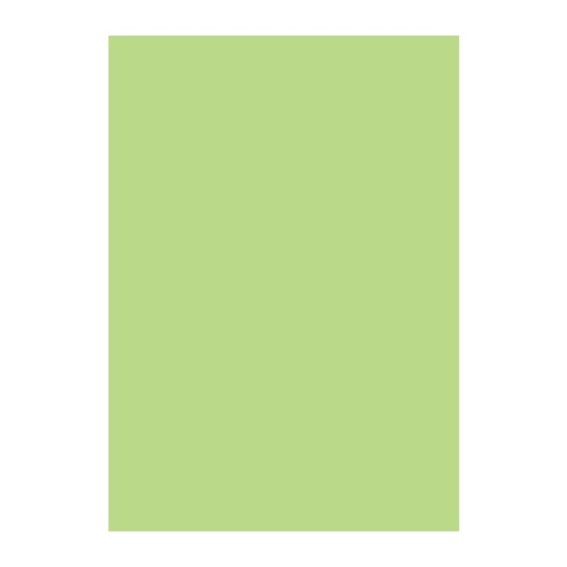 KASTAMONU D134 PASTEL GREEN PS11