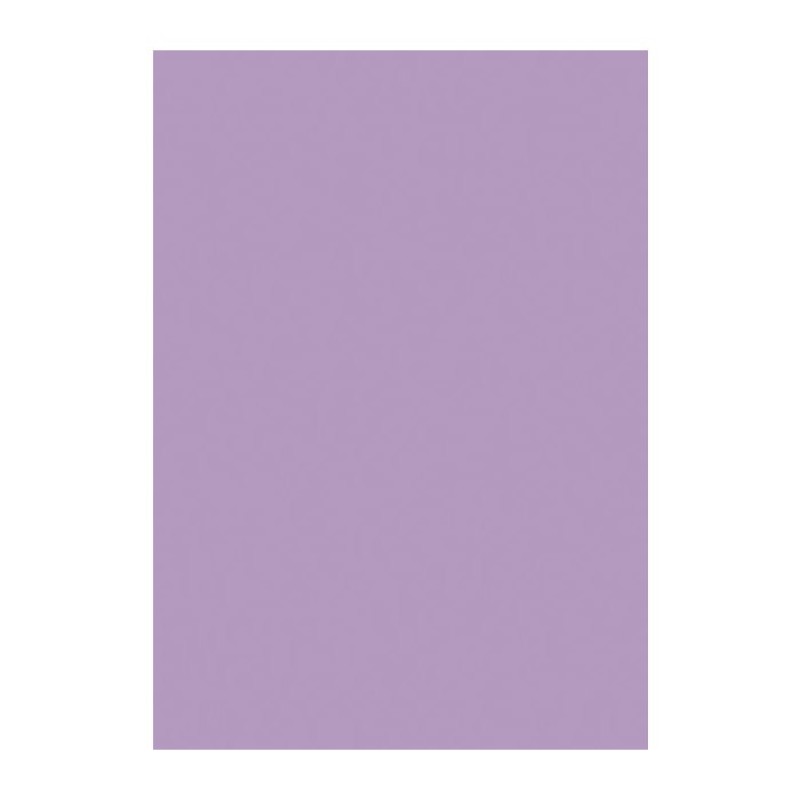 KASTAMONU D148 VIOLET PS11