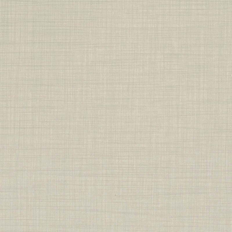 KASTAMONU F238 COTTON TREND PS16