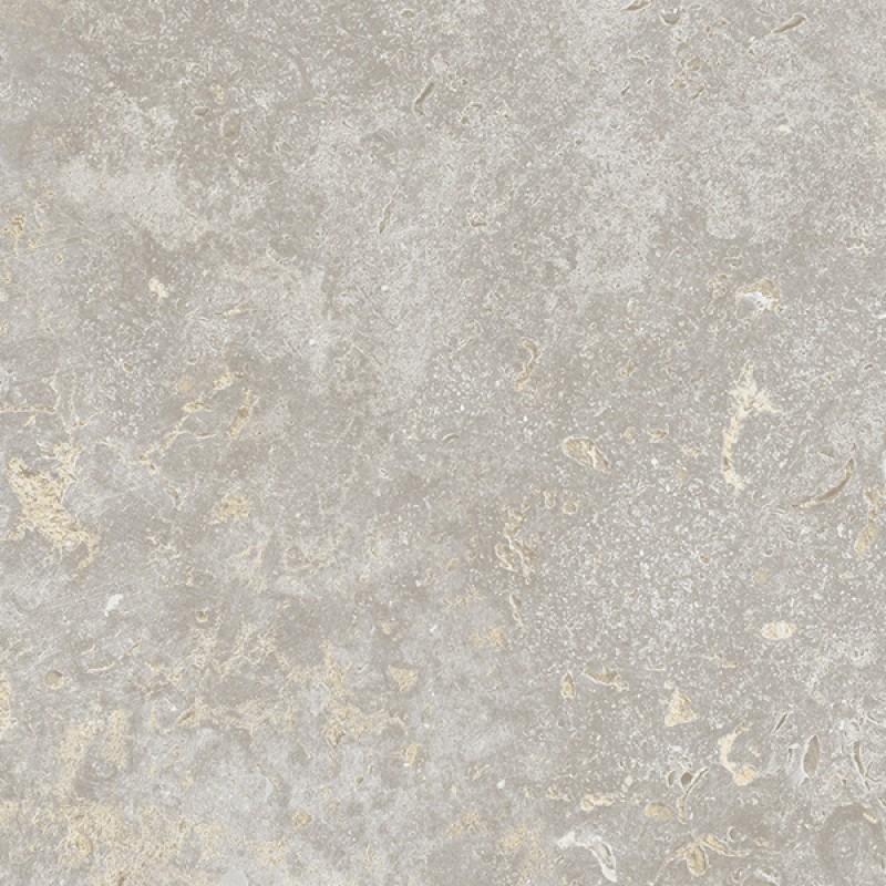 Lamicolor Fossil 6095 gress 