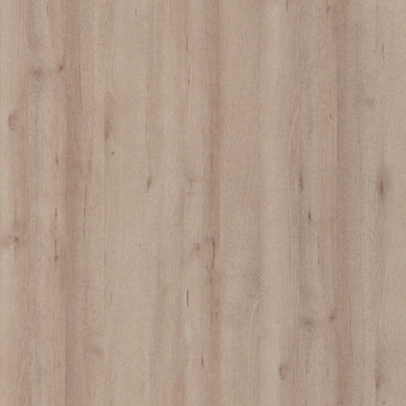 Pfleiderer ICONIC BEECH R24042 FM