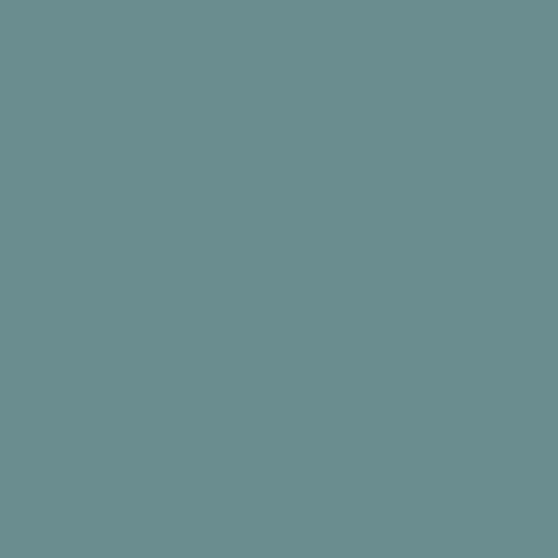 Pfleiderer BRISTOL U18502 SD