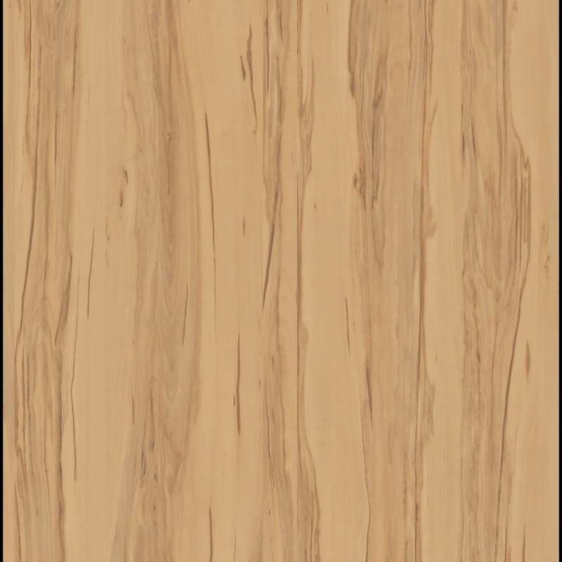 POLYREY CEUR DE POMMIER C104 EXM
