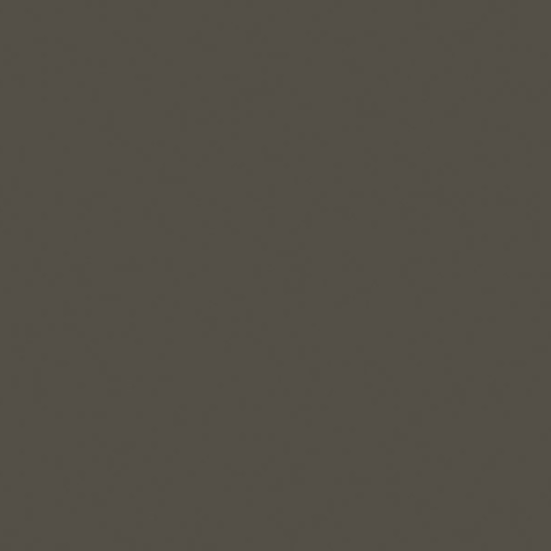 POLYREY GRIS VISON G120 BRILLANT