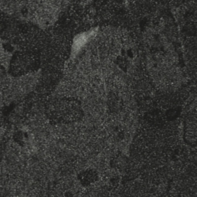POLYREY MARBRE PALAZIO M137 BRILLANT