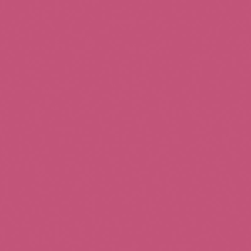 POLYREY ROSE INDIEN R059 BRILLANT