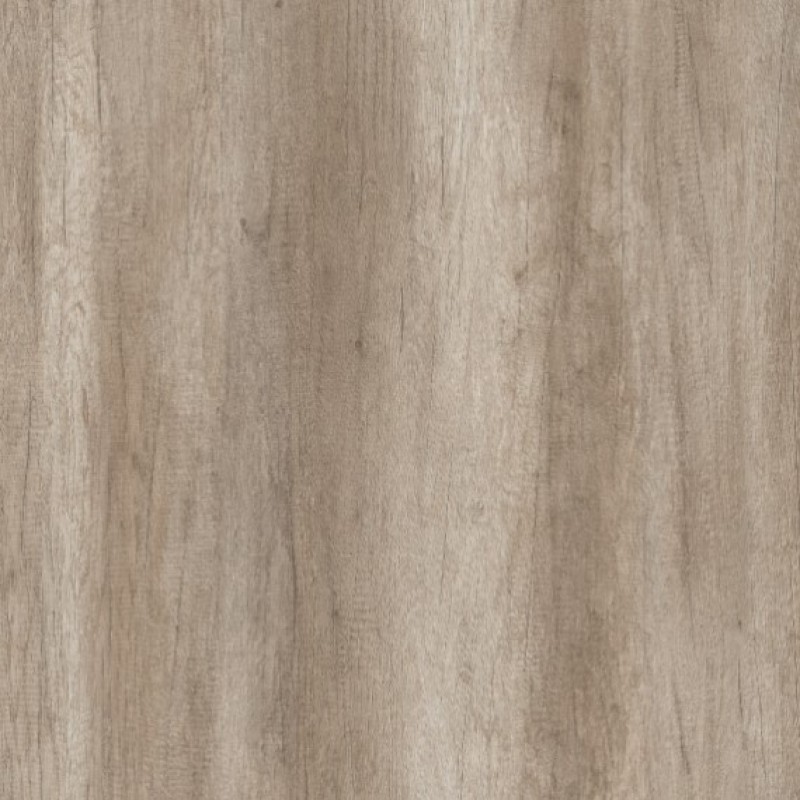 PURICELLI MONUMENT OAK 0180 AR