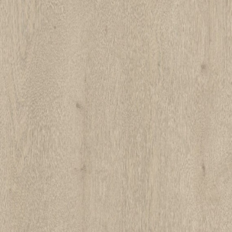 PURICELLI ARTIC OAK 0525 AR