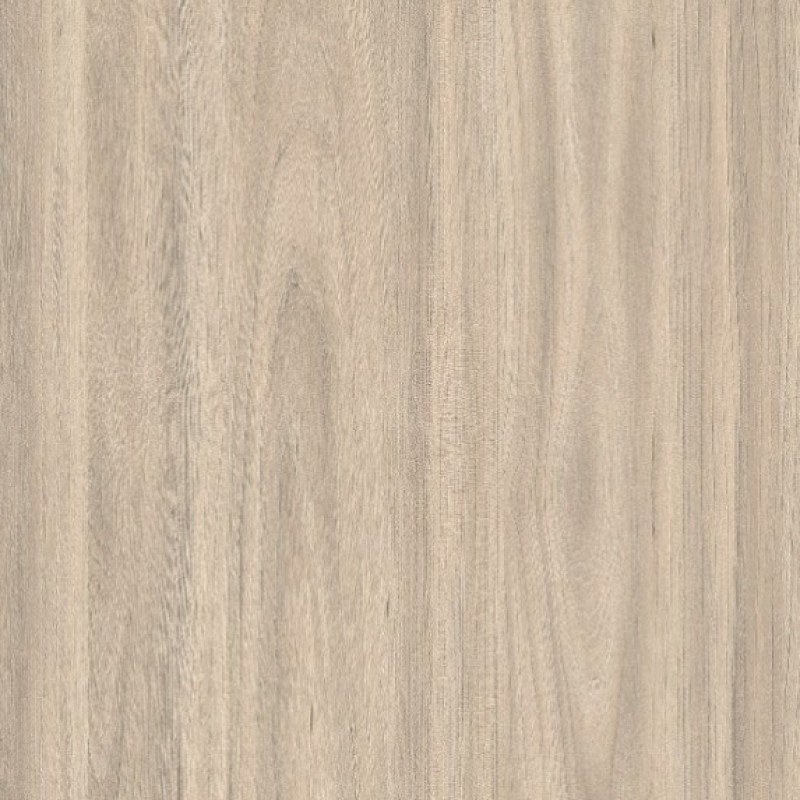 PURICELLI OLMO LEONE SBIANCATO 5017 SW