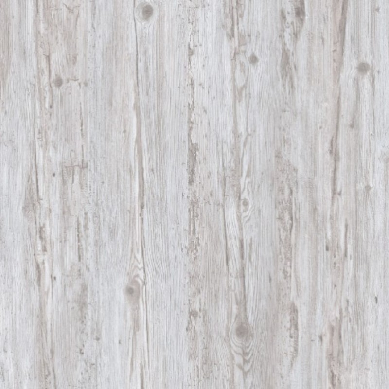 PURICELLI WILD 5026 AR