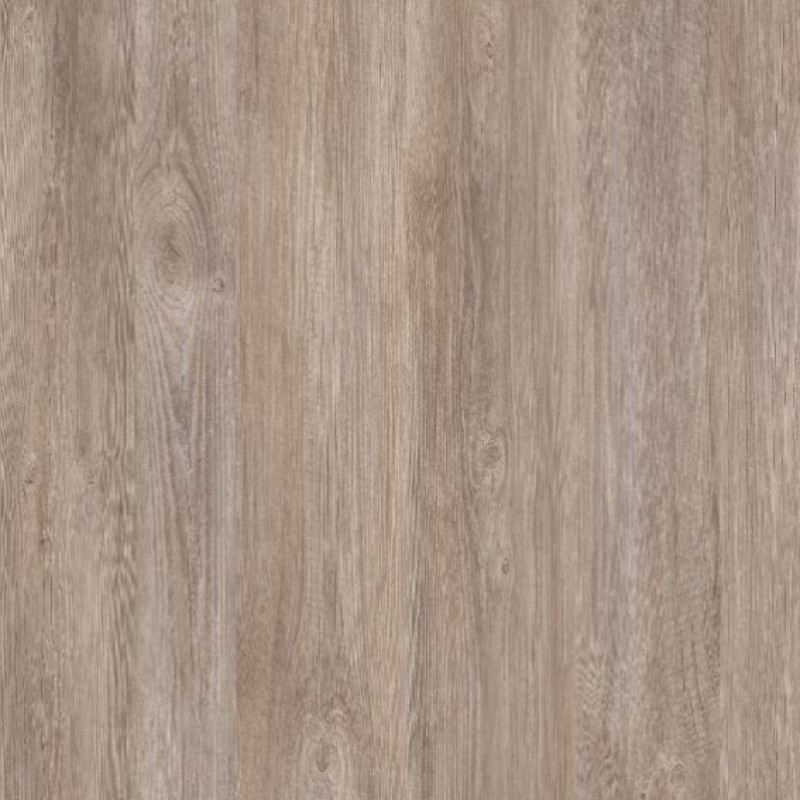PURICELLI CARUSO PINE 5032 AR