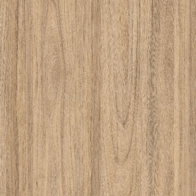 PURICELLI OLMO LEONE 5115 SW