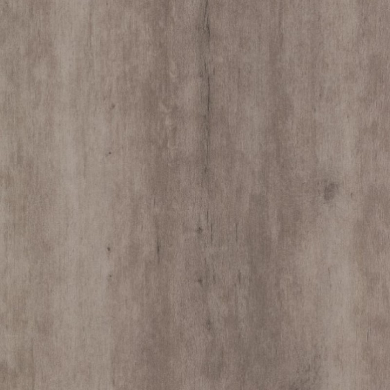 PURICELLI CARPINO 5214 AR