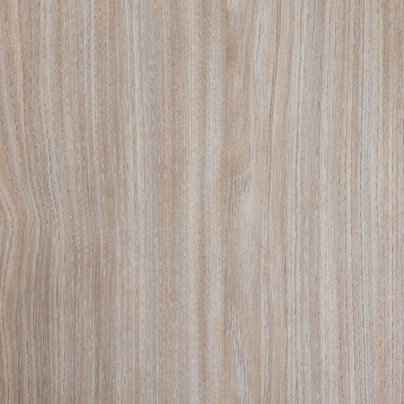 Saib Siena Biondo CH6016 Dugwood 