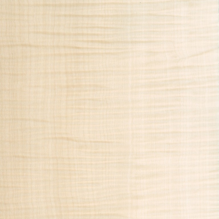 TWIST005