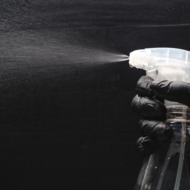 pulitori e detergenti